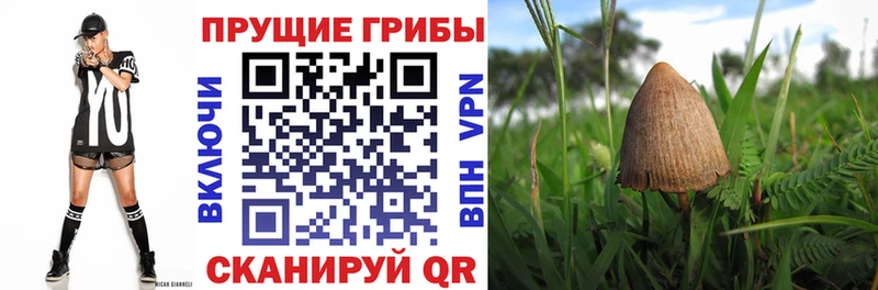 Псилоцибиновые грибы ЛСД  Стерлитамак 