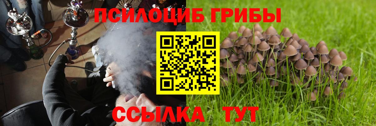Галлюциногенные грибы Psilocybine cubensis Стерлитамак