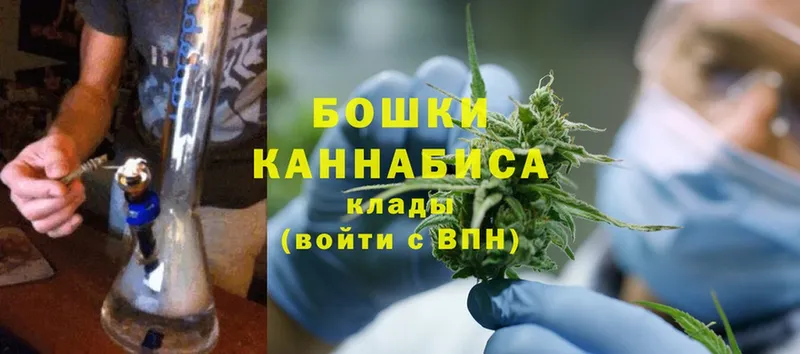 цены   Стерлитамак  Бошки Шишки OG Kush 